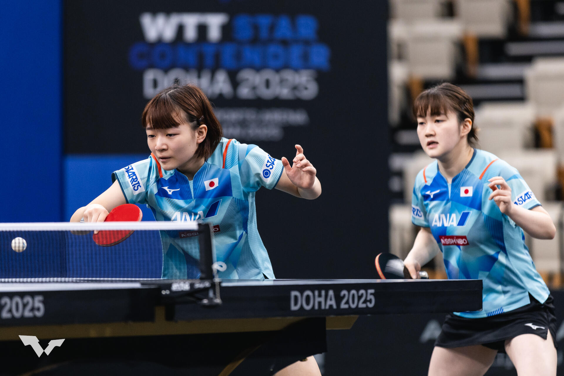アジア女王強し！大藤・横井が中国ペア撃破で今季初V【卓球 WTTドーハ